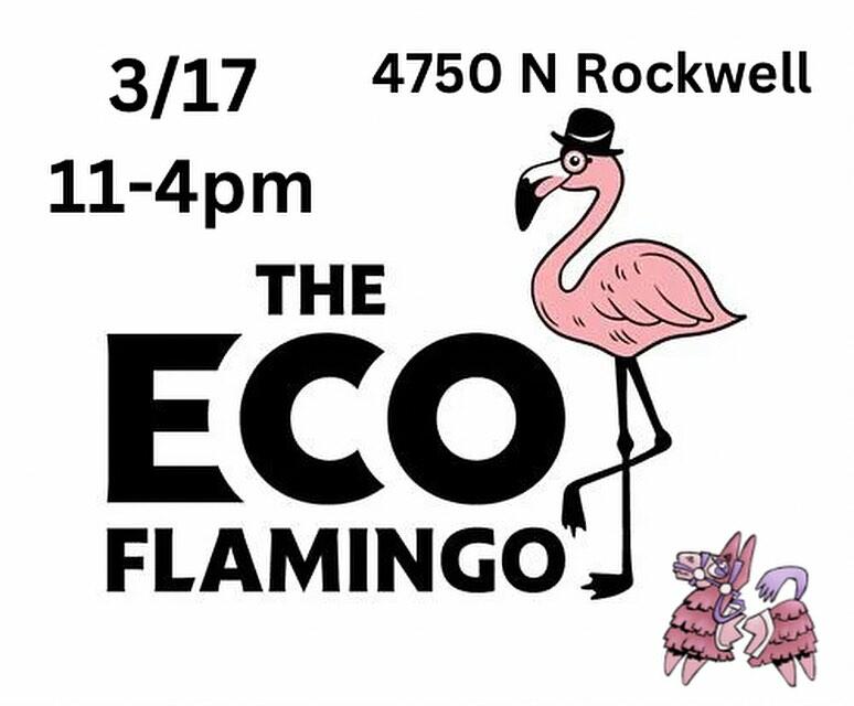 Piñatta at The Echo Flamingo